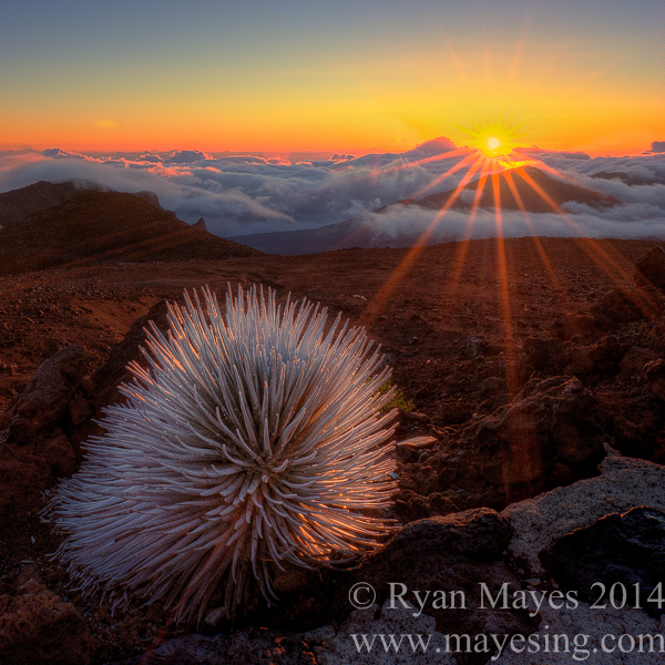 Images from travel across the globe